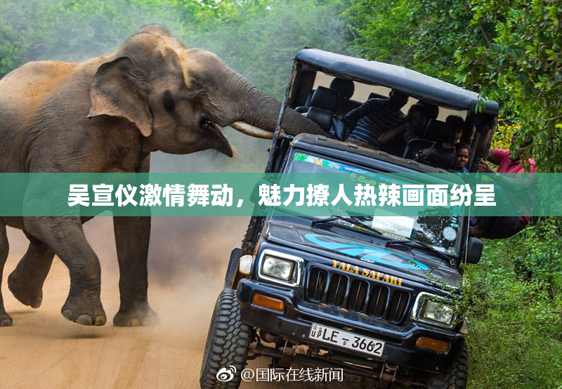 吴宣仪激情舞动，魅力撩人热辣画面纷呈