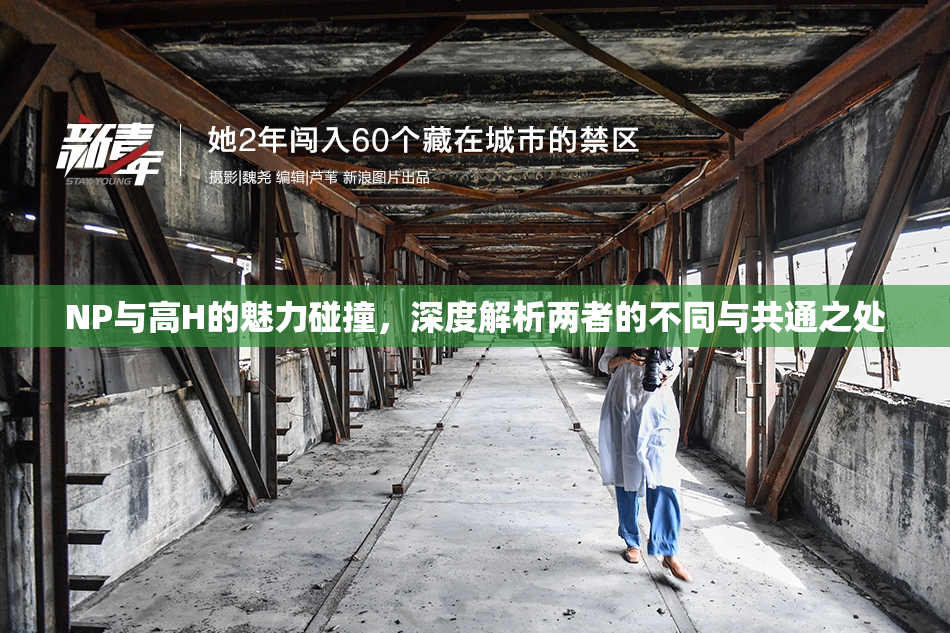 NP与高H的魅力碰撞，深度解析两者的不同与共通之处