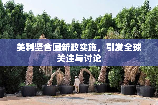 美利坚合国新政实施，引发全球关注与讨论