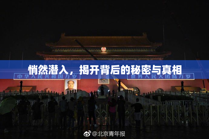 悄然潜入，揭开背后的秘密与真相