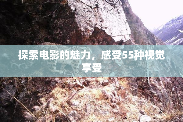 探索电影的魅力，感受55种视觉享受