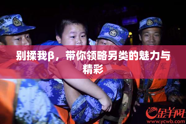 别揉我β，带你领略另类的魅力与精彩