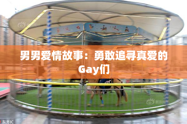 男男爱情故事：勇敢追寻真爱的Gay们