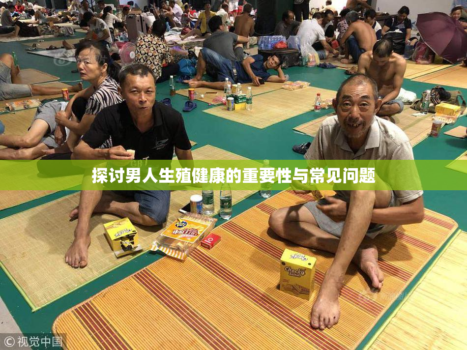 探讨男人生殖健康的重要性与常见问题