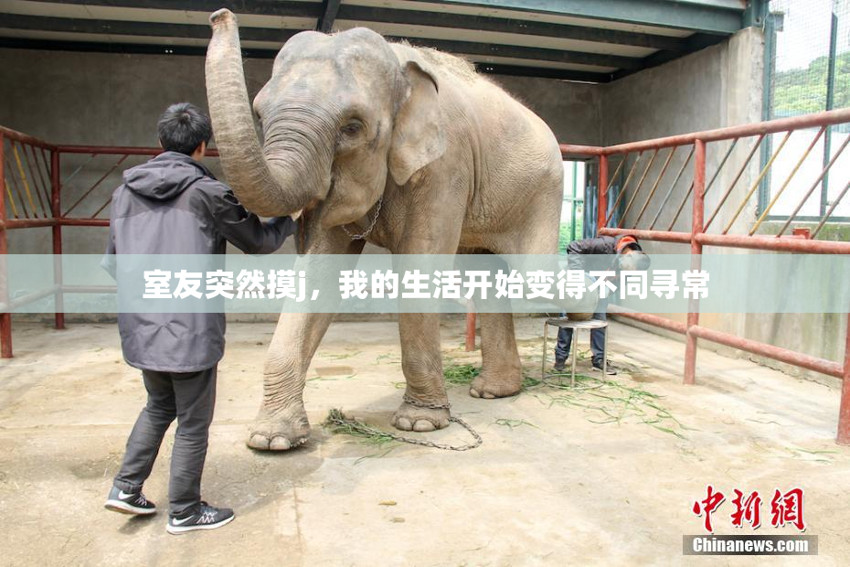 室友突然摸j，我的生活开始变得不同寻常