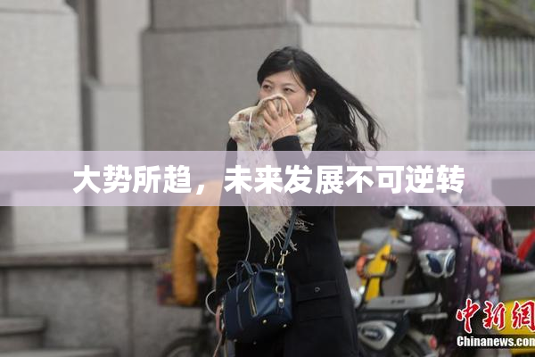 大势所趋，未来发展不可逆转