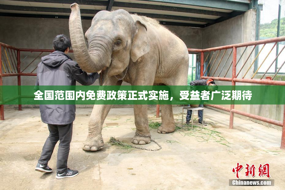 全国范围内免费政策正式实施，受益者广泛期待