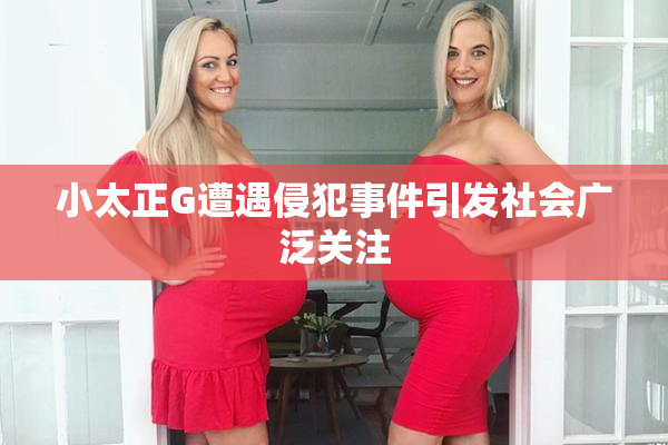 小太正G遭遇侵犯事件引发社会广泛关注