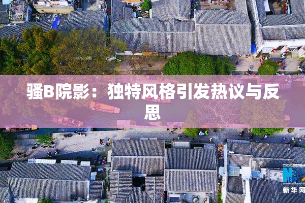 骚B院影：独特风格引发热议与反思