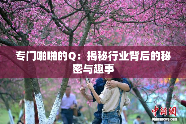 专门啪啪的Q：揭秘行业背后的秘密与趣事