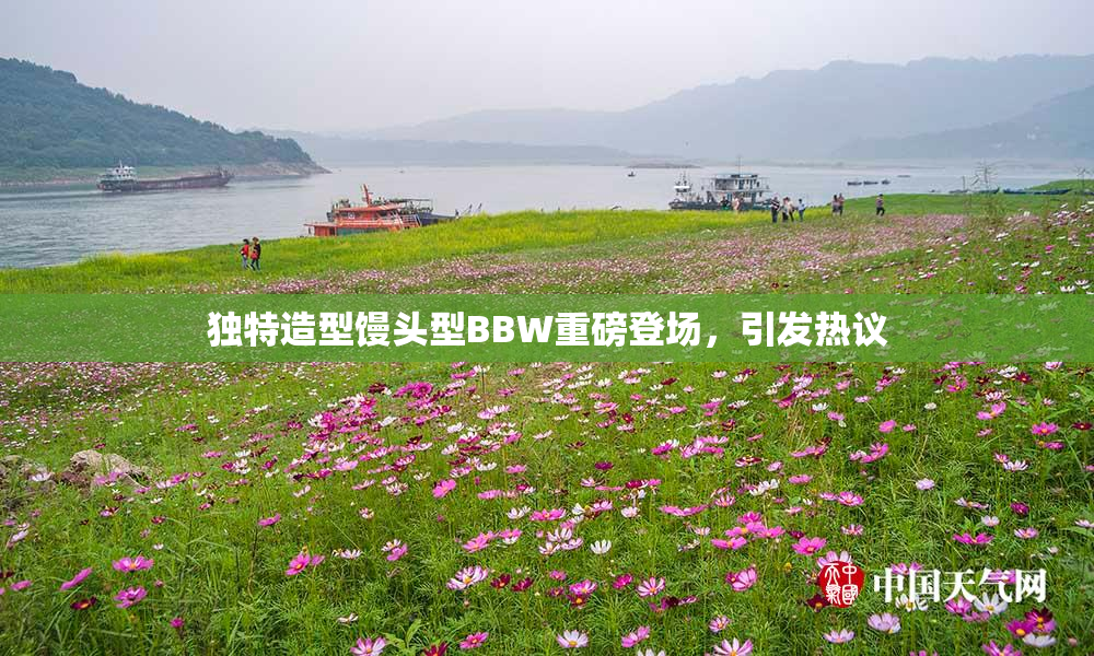 独特造型馒头型BBW重磅登场，引发热议