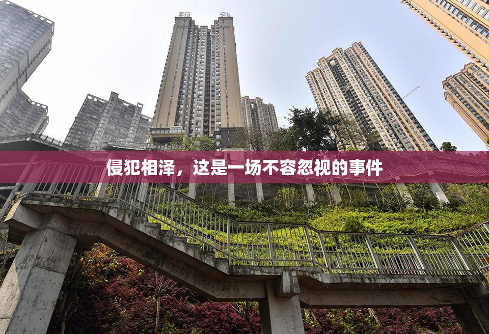 侵犯相泽，这是一场不容忽视的事件