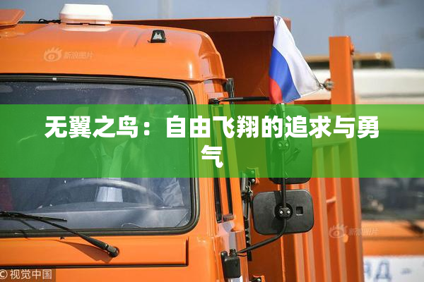无翼之鸟：自由飞翔的追求与勇气