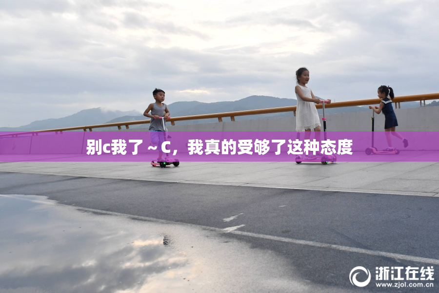 别c我了～C，我真的受够了这种态度