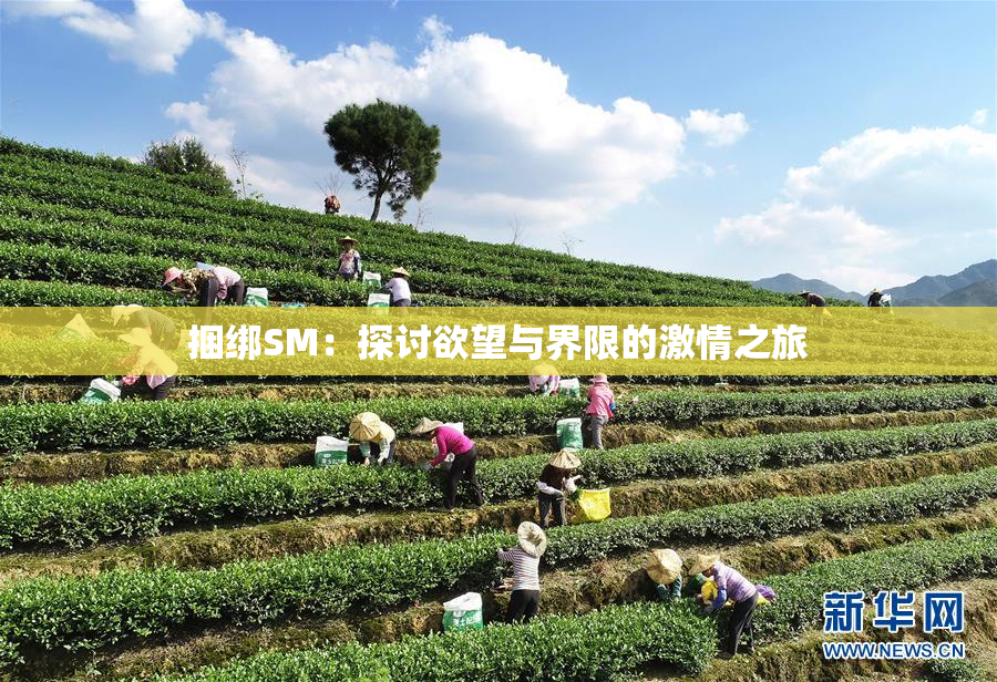 捆绑SM：探讨欲望与界限的激情之旅