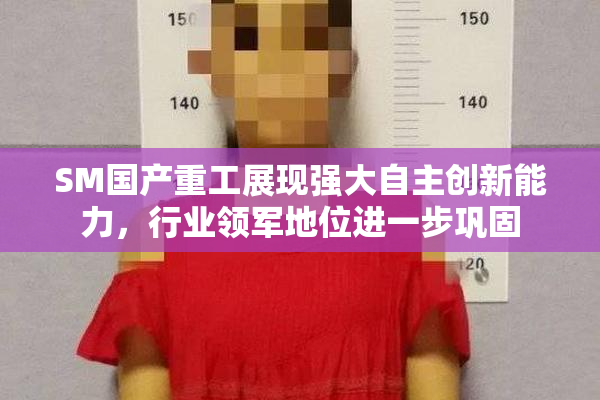 SM国产重工展现强大自主创新能力，行业领军地位进一步巩固