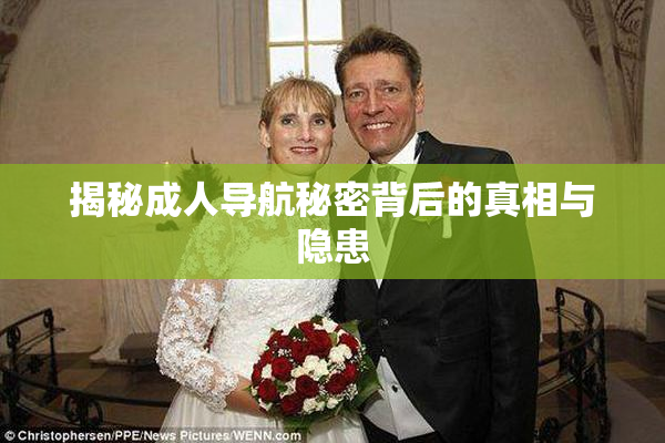 揭秘成人导航秘密背后的真相与隐患