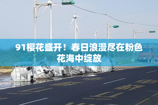 91樱花盛开！春日浪漫尽在粉色花海中绽放