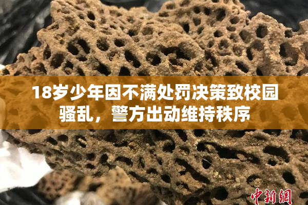 18岁少年因不满处罚决策致校园骚乱，警方出动维持秩序