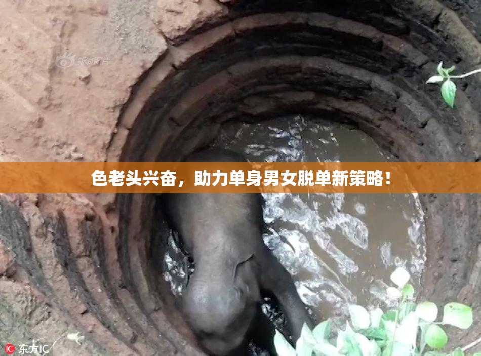 色老头兴奋，助力单身男女脱单新策略！