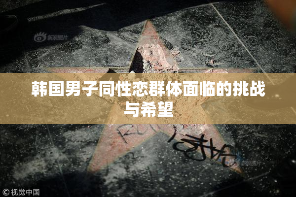 韩国男子同性恋群体面临的挑战与希望