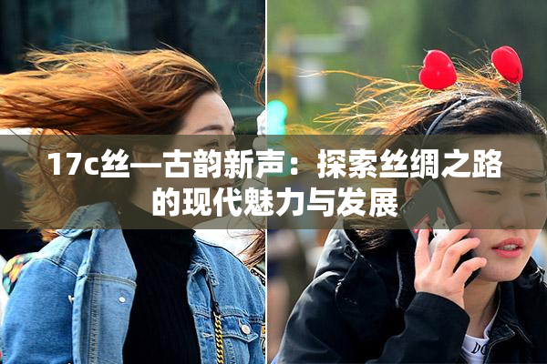 17c丝—古韵新声：探索丝绸之路的现代魅力与发展