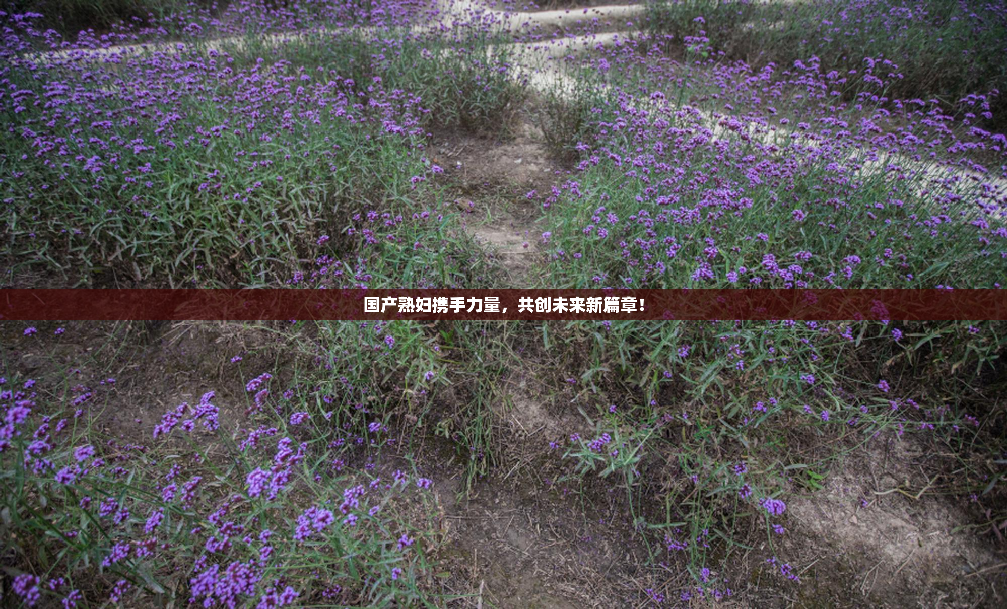 国产熟妇携手力量，共创未来新篇章！
