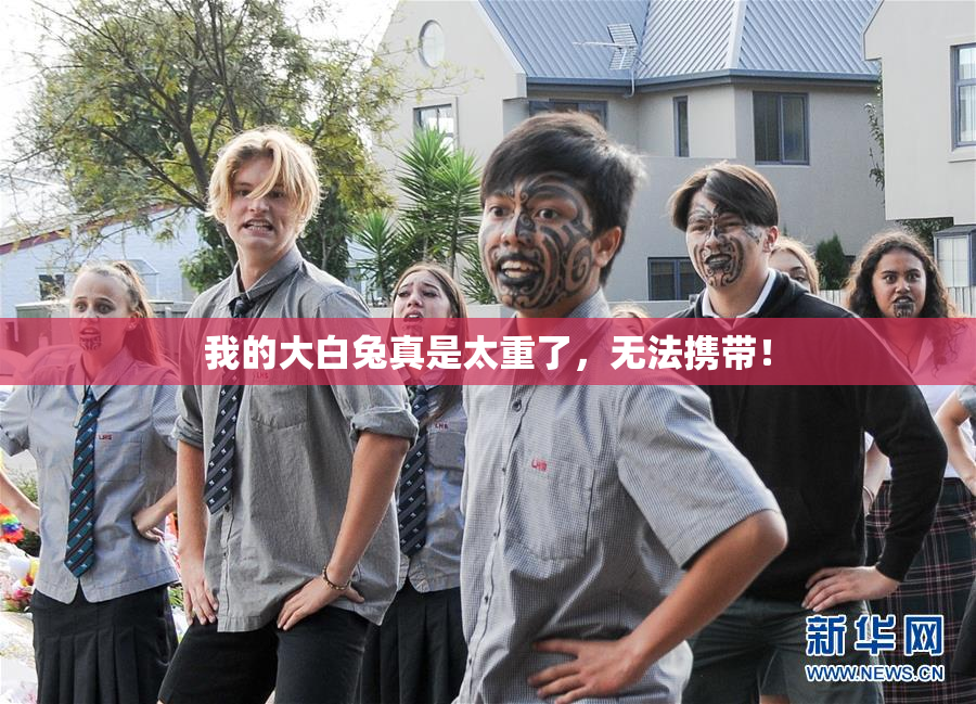 我的大白兔真是太重了，无法携带！