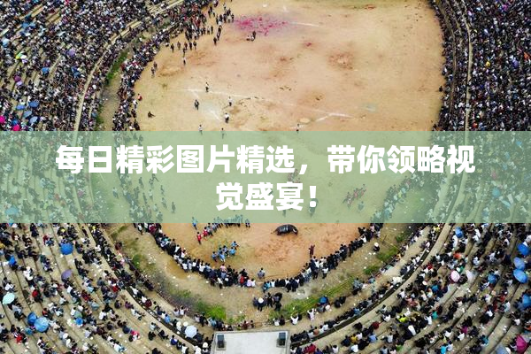 每日精彩图片精选，带你领略视觉盛宴！