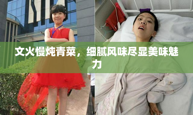 文火慢炖青菜，细腻风味尽显美味魅力