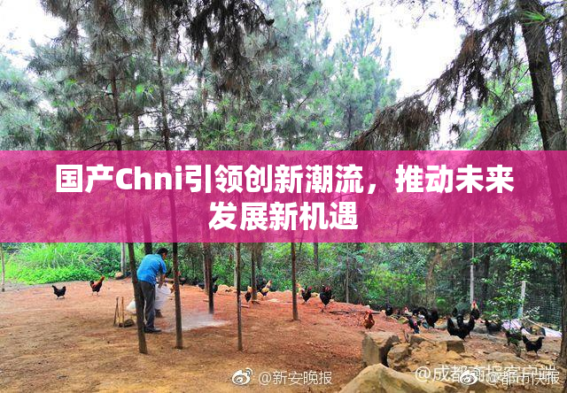 国产Chni引领创新潮流，推动未来发展新机遇