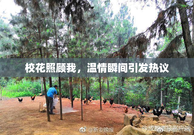 校花照顾我，温情瞬间引发热议