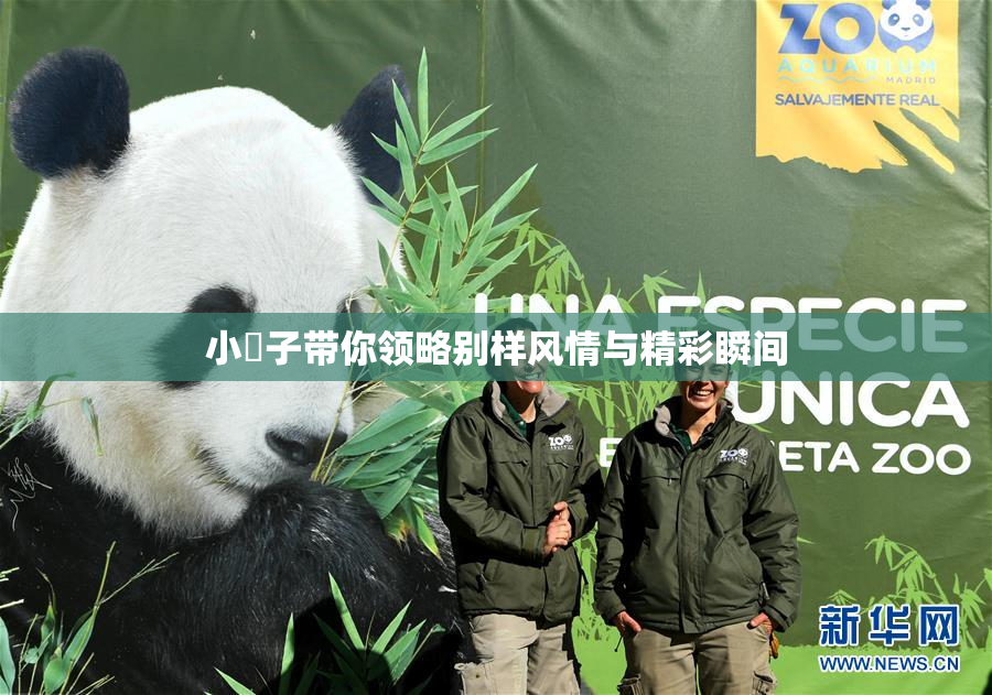 小峓子带你领略别样风情与精彩瞬间