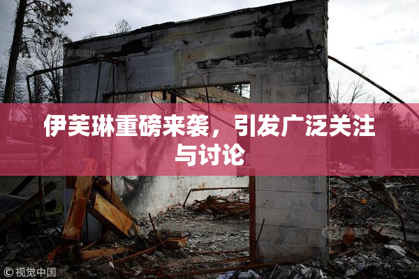 伊芙琳重磅来袭，引发广泛关注与讨论