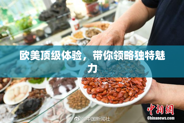 欧美顶级体验，带你领略独特魅力