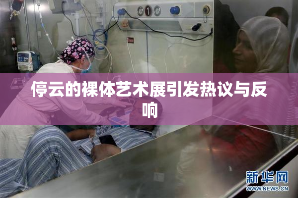 停云的裸体艺术展引发热议与反响