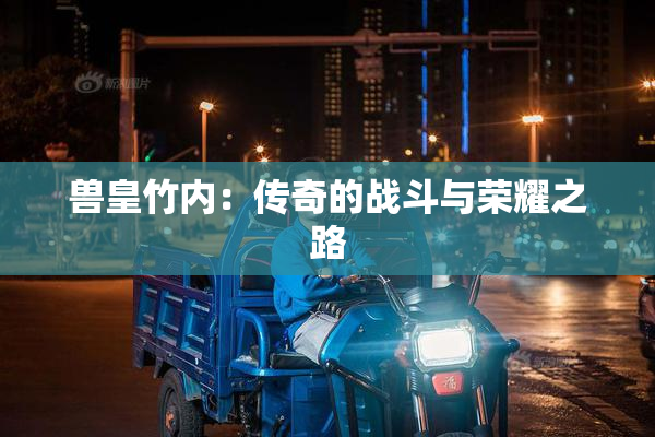 兽皇竹内：传奇的战斗与荣耀之路