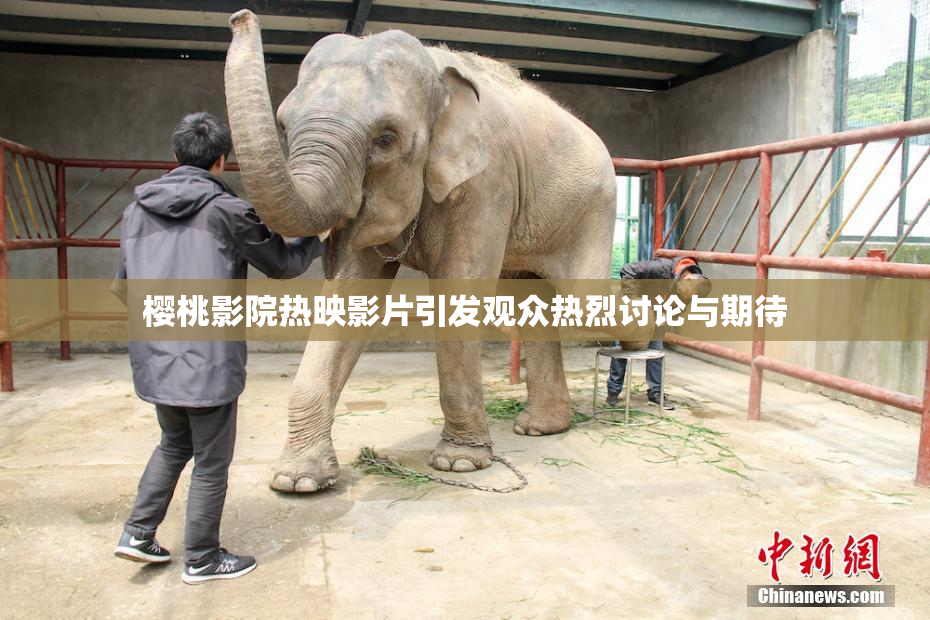 樱桃影院热映影片引发观众热烈讨论与期待