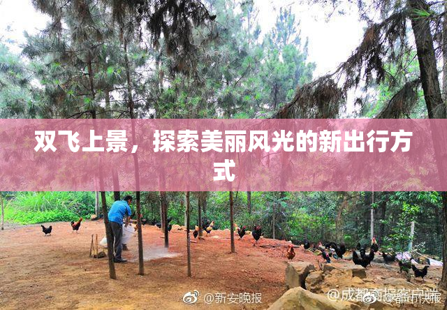 双飞上景，探索美丽风光的新出行方式
