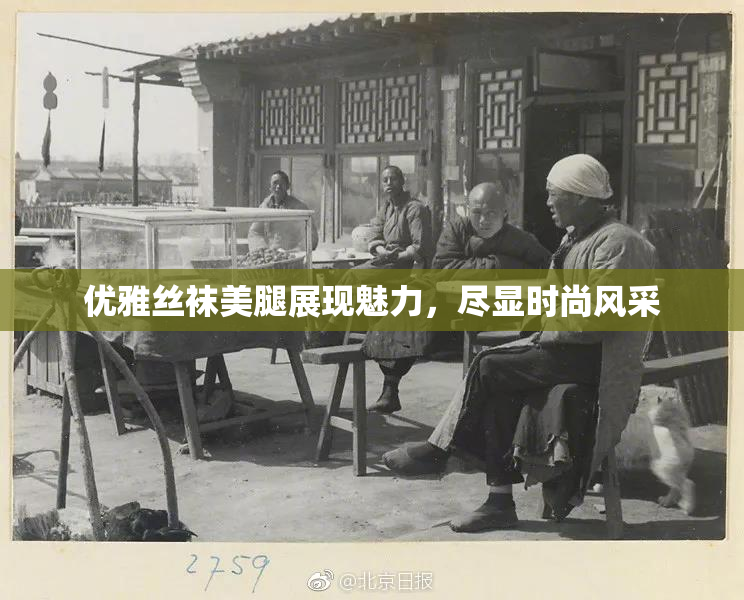 优雅丝袜美腿展现魅力，尽显时尚风采