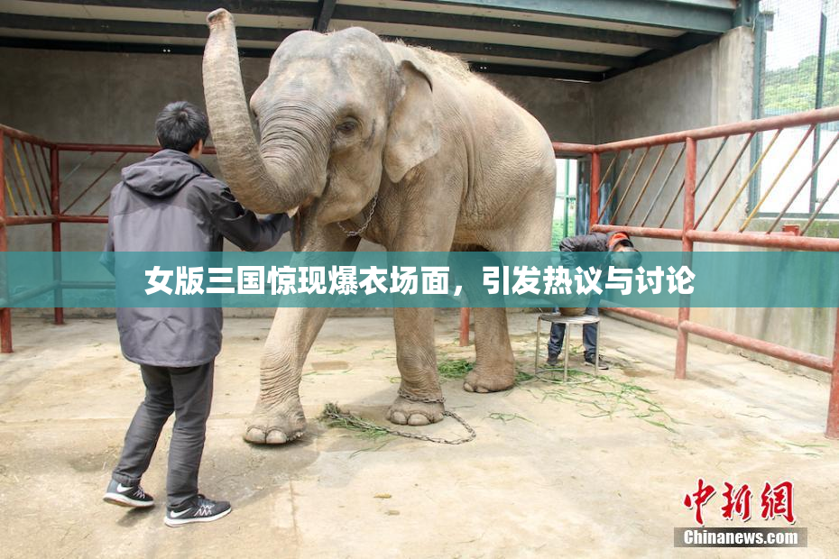 女版三国惊现爆衣场面，引发热议与讨论