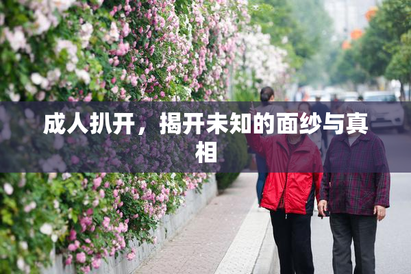 成人扒开，揭开未知的面纱与真相