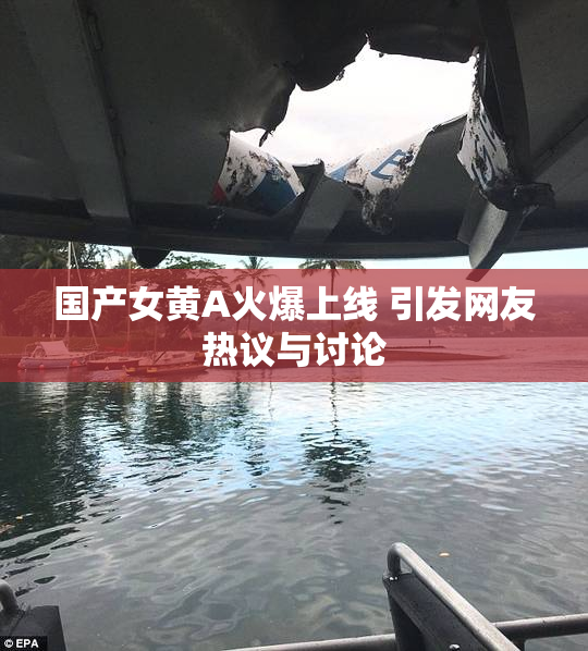 国产女黄A火爆上线 引发网友热议与讨论