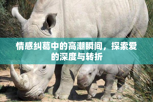 情感纠葛中的高潮瞬间，探索爱的深度与转折