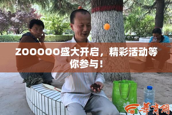 ZOOOOO盛大开启，精彩活动等你参与！
