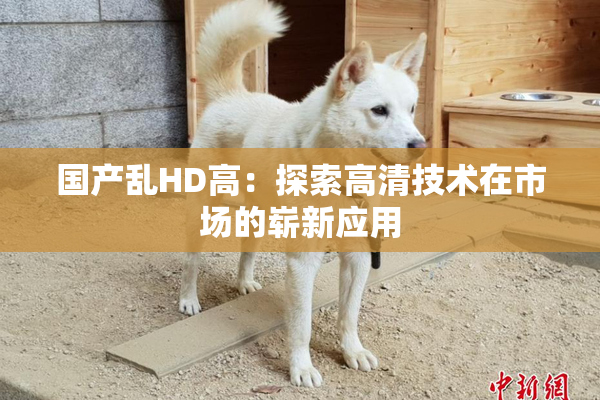 国产乱HD高：探索高清技术在市场的崭新应用