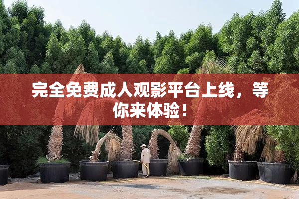 完全免费成人观影平台上线，等你来体验！