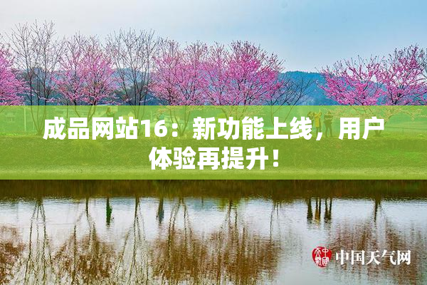 成品网站16：新功能上线，用户体验再提升！