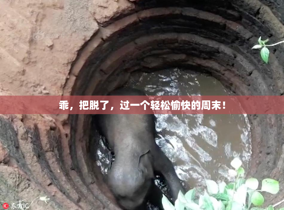 乖，把脱了，过一个轻松愉快的周末！