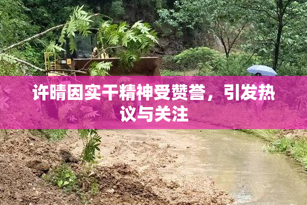 许晴因实干精神受赞誉，引发热议与关注